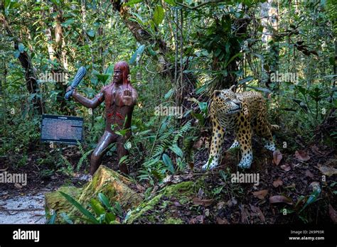  Curupira: Eine Geschichte über den Schutzgeist des Amazonasregenwaldes und seine verrückten Füße!